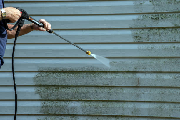 Best Affordable Pressure Washing  in Wildwood, TN