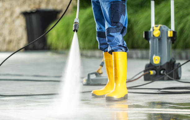 Best Roof Pressure Washing  in Wildwood, TN