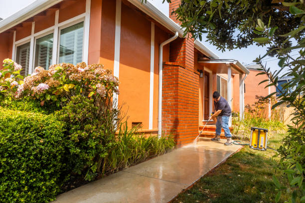 Best Affordable Pressure Washing  in Wildwood, TN
