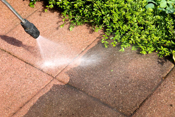 Best Commercial Building Pressure Washing  in Wildwood, TN